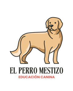 Logo de El Perro Mestizo Educación Canina, adiestrador canino en Murcia especializado en educación canina respetuosa